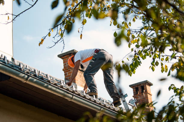 Best Roof Maintenance Services  in Angier, NC