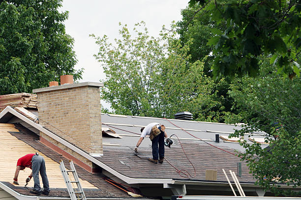 Best Roof Gutter Cleaning  in Angier, NC